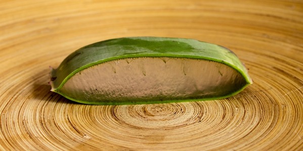 Aloe Vera to counteract the side effects of chemotherapy