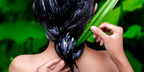 Aloe vera y la alopecia, naturaleza contra la caída del cabello