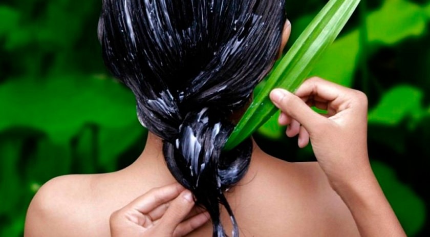Aloe Vera and Alopecia; the natural remedy against hair loss 